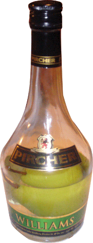 Pircher